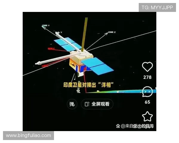 瓜瓜科学护林计划遭遇失败引发广泛不满和激烈讨论 瓜瓜科学护林计划遭遇失败引发广泛不满和激烈讨论