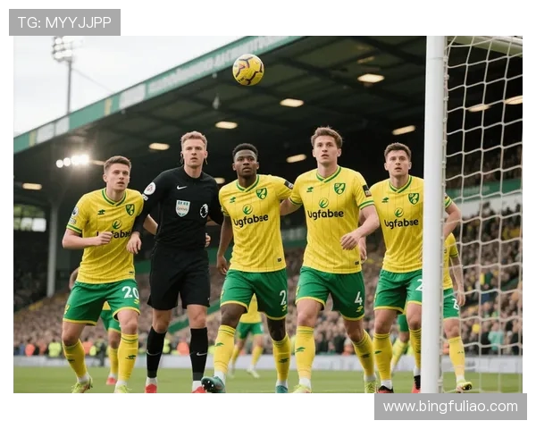 诺维奇足球俱乐部扩建主场部分球迷暂时调整观赛区域